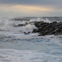 RockawayRises's profile picture. Submissions of uplifting photography, art work and stories that showcase the positive aspects of life in The Rockaways Post-Sandy to rockawayrises@gmail.com