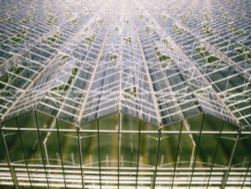 DuurzaamKweken's profile picture. 