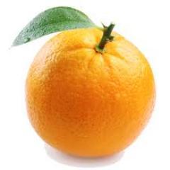 Facts about the transportation of oranges!