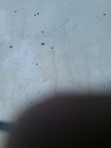 personalblog_'s profile picture. 