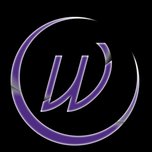 Non-profit club at Western University where students use real world application to gain knowledge and refine critical skills used in the business world.