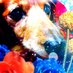 カメヨ (@kameyo0920) Twitter profile photo カメヨ (@kameyo0920) Twitter profile photo
