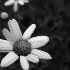 deep_ressed's profile picture. yeah, i'm not happy and haven't been for a long time. this is just a twitter where i can express my thoughts.