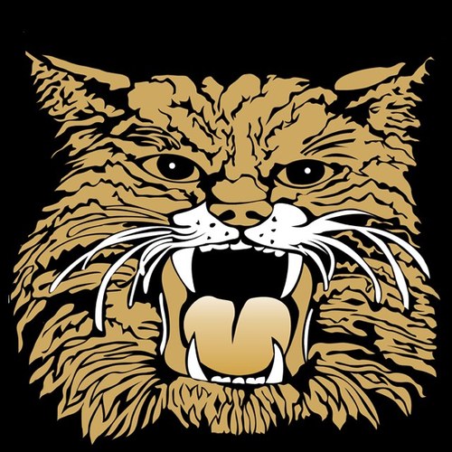 Neosho Football Profile