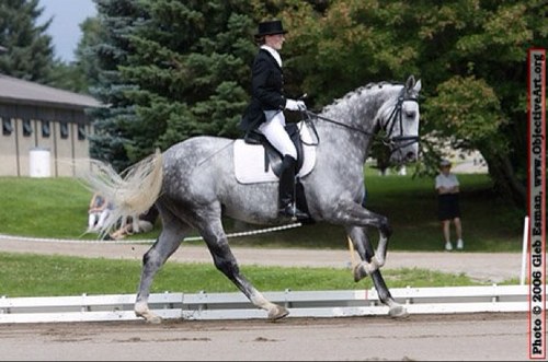 rycricket2's profile picture. Recruiter - If I reach out, it's for a good opportunity you'll want to know about!  Enjoy: Wine and popcorn as food groups.