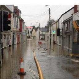 shadles's profile picture. 