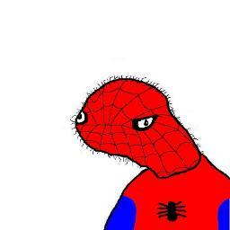 i am di amzing spoderman, heer tu sav teh day