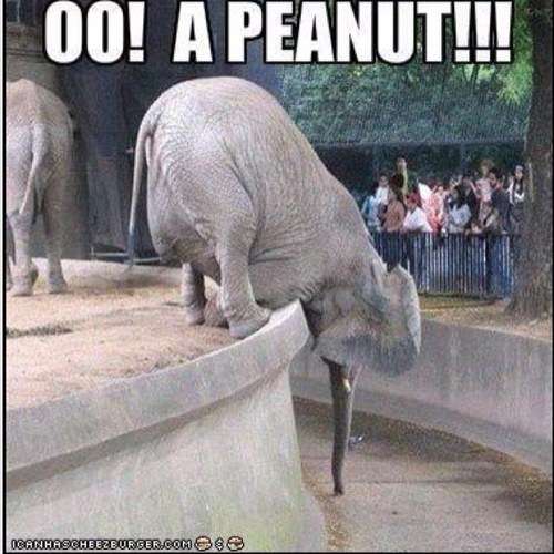 mikeheiser25's profile picture. 