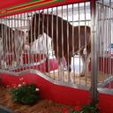 wilbert perry - @Pdawg78Perry - Twitter