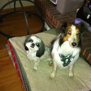 Donna Chatman - @keepinitrealdc - Twitter