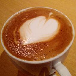 Games, coffee, technology, geekdom, positive/science-based dog training, behavior science, ABA