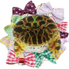 tanu