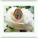 arnulfo chavez - @chiruza100 - Twitter