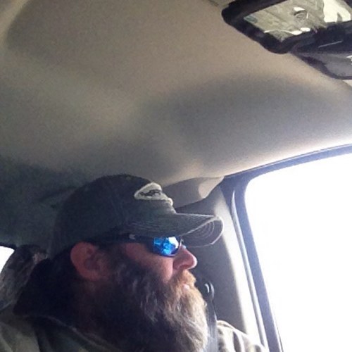 wmfish's profile picture. 