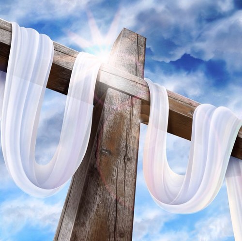 donitalyde's profile picture. 