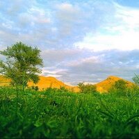 حماد الحماد (@hammad5h) 's Twitter Profile