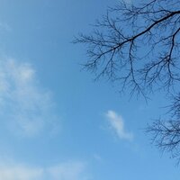 Incandescent (@incandescentseo) 's Twitter Profile