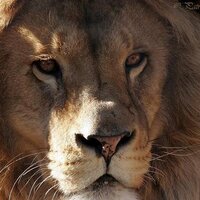 remedy wu (@remedywu) 's Twitter Profile