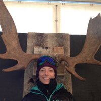 Lesley Mckenna (@lesleymckenna) 's Twitter Profile