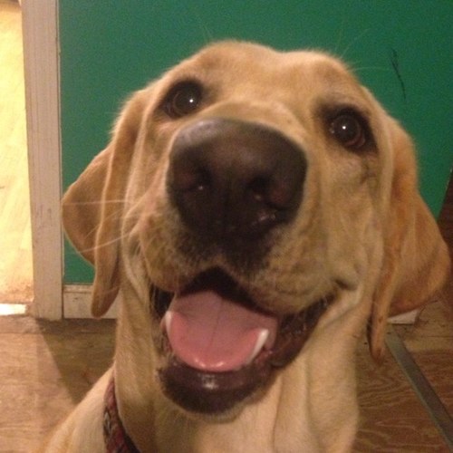 Randy2244's profile picture. 