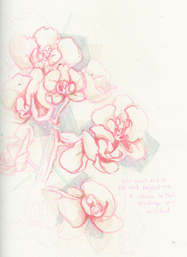 killkimber's profile picture. 