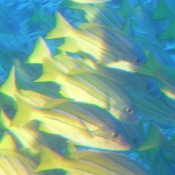 mydearloveys's profile picture. My Irish & Jersey = too stubborn to quit. Advocacy, policy, community engagement & empowerment. Cooperation yields the best results.