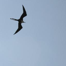 nlsrodu's profile picture. 