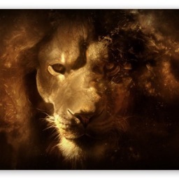 MessengerX7's profile picture. Sharing Truth As It Is Revealed #MessengerX7