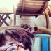 Mag (@sarahsprontos) Twitter profile photo