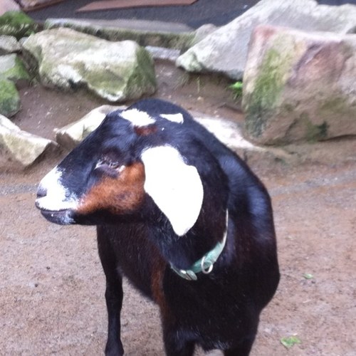 MainThread's profile picture. Code writer