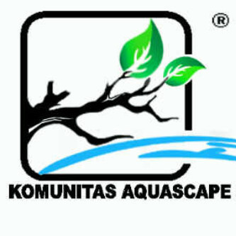 Komunitas Aquascape Balikpapan. Aquascape adalah kegiatan seni dalam mengatur tanaman air, batu, kayu dalam media fish tank atau aquarium