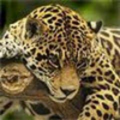 Часто люди просто не догадываются, как сильно изменили чью-то жизнь.