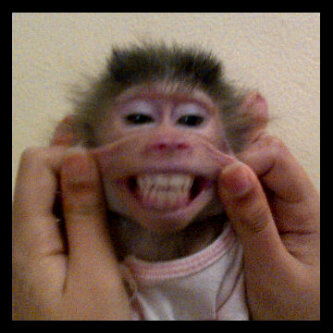 Jelata_ku's profile picture. Man behind the gun