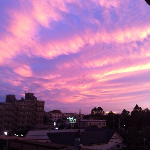 masayuki1122's profile picture. 