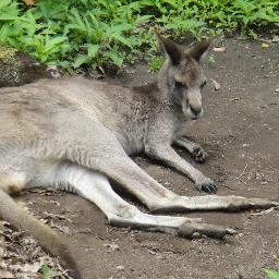 awilderbeast's profile picture. Extremely keen new RN, graduated 13 months ago, excited to see what God has planned for me to take on!