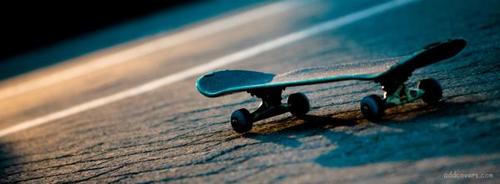 Best Skateboarding Shop on the east coast!