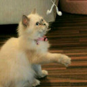REEMA BINT ABDULLAH (@0556724) Twitter