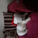 Amanda Douglas - @ajd1703 - Twitter