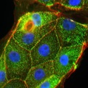 Bob Bent - @Bent010 - Twitter