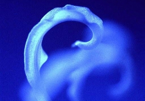 CrozierAnna's profile picture. 