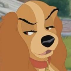 DogcollCollete's profile picture. my names collete i live with my family mom,scamp,dad,danielle,annette,angel  if you want follow just mention #followmecollete