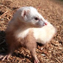 shihonishi6's profile picture. みなさん節約できていますかー？生活に役立つ節約術をつぶやいています(^ω^)相互フォロー大歓迎♪