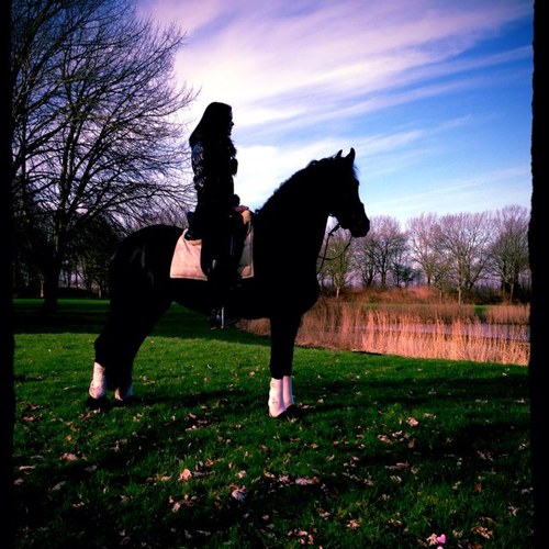 16 jaar | MBO | love my horses tango & jiltje, parents, and sister ♡ | 291012 , i love you , xxxjeboy |