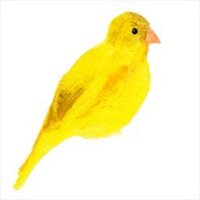 debbie hill (@debbiehill) 's Twitter Profile