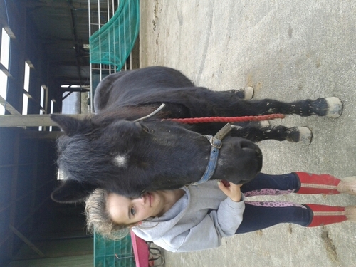 I love JLS SO much thats all i can sayy they have changed my life :D xoxox i also love my horse called jet!:-)