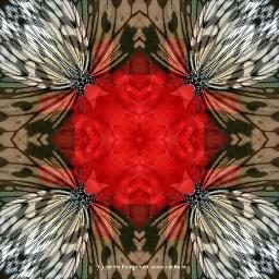 Heilspuren - Gesund mit Kunst. Raumgestaltung & Farbkonzept. Kunst & Kreativität für Ihre Räume.