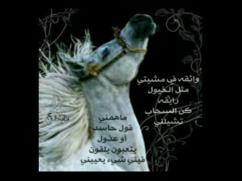 ولـم يـكــن خـذلانــهــم لــي سـوى حــيـاة جــديــدة عـنــوانـهـا لا احـد يـسـتـحـق. . . ! ! !