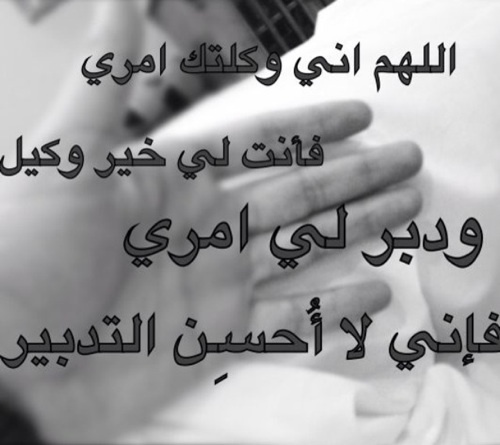 KaledToop's profile picture. 