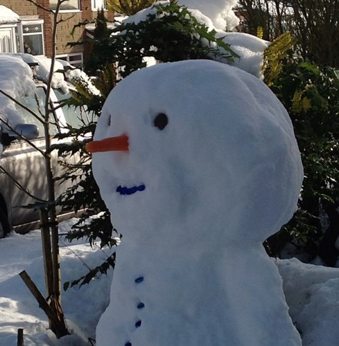 labtrm's profile picture. Eclectic.
Head in science, heart in art, feet in ballroom dancing