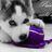NicoleCipola2's profile image